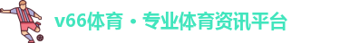 v66体育